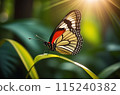 Close up of a beautiful tropical butterfly with folded wings on a green leaf. 115240382