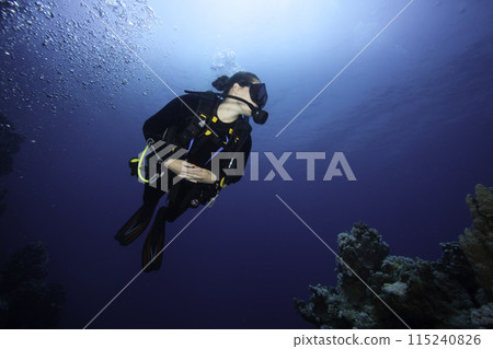 Girl Scuba Diver Diving on Tropical Coral Reef with Blue Background and Reef Fish. 115240826