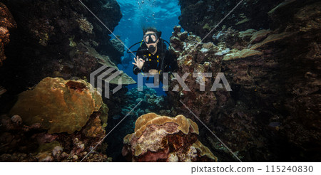 Girl Scuba Diver Diving on Tropical Coral Reef with Blue Background and Reef Fish. 115240830