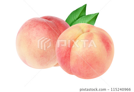 Peach illustration realistic white background Peach illustration realistic white background 115240966