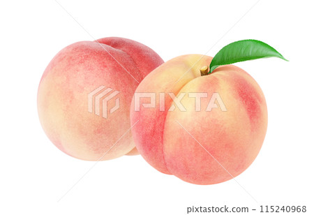 Peach illustration realistic white background Peach illustration realistic white background 115240968
