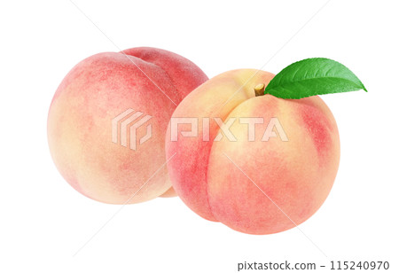 Peach illustration realistic white background 115240970