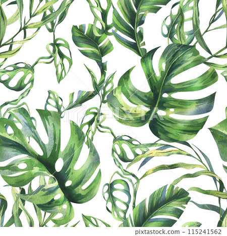 Tropical coconut, banana palm leaves, monstera, monkey mask, frangipani, bright juicy green. Hand drawn watercolor botanical illustration. Seamless pattern on a white background. 115241562
