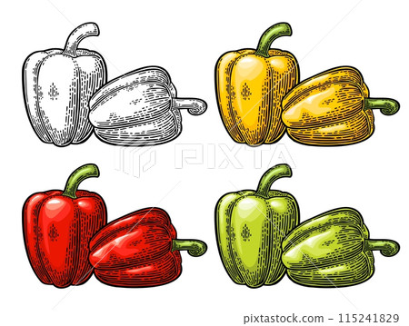 Whole yellow, red, green sweet bell pepper. Vector vintage engraving Whole yellow, red, green sweet bell pepper. Vector vintage engraving 115241829