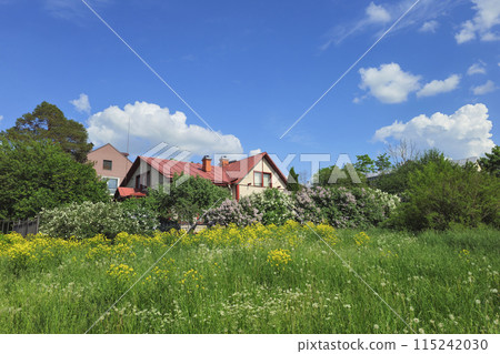 Background photo with an modern mansion with lilac bushes 115242030