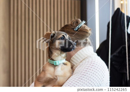 Brown puppy in the arms of a woman Brown puppy in the arms of a woman 115242265