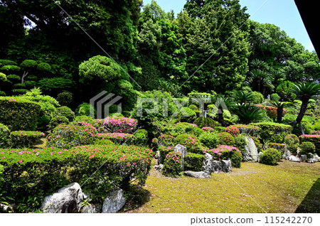 硫王寺五月花園 硫王寺五月花園 115242270