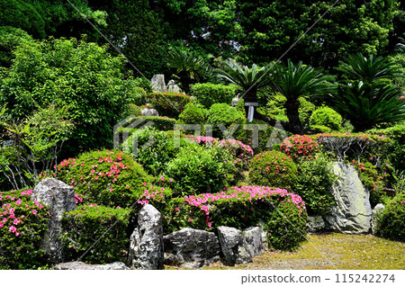 Ioji Temple's Satsuki Garden 115242274