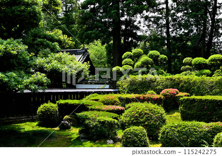 硫王寺五月花園 硫王寺五月花園 115242275