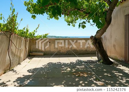 Sunlit terrace near the house, shadows on the wall from trees Sunlit terrace near the house, shadows on the wall from trees 115242376