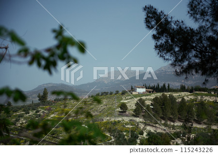 A white old cottage with an agricultural field with olive grove in mountain in the region of Jaen in Spain 115243226