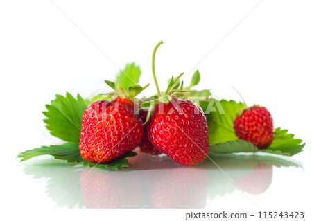 red ripe strawberry spring on a white background 115243423