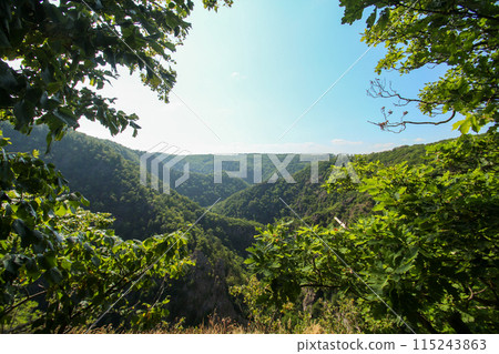 Scenic Bode valley in the Harz mountains in Saxony-Anhalt 115243863