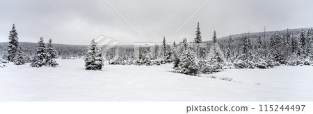 Trees covered by new snow. Winter fairytale landscape. Idyllic winter time in Jizera Mountains, Czech Republic 115244497