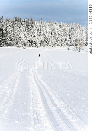 Cross country skiing track. Sunny day in mountains. Outdoor leisure activity. 115244516