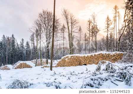 Wooden logs stacked along country road covered by snow in winter. Lumberjack theme Wooden logs stacked along country road covered by snow in winter. Lumberjack theme 115244523