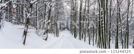 Cross country skiing track in the forest. Outdoor leisure activity. Black and white image. Cross country skiing track in the forest. Outdoor leisure activity. Black and white image. 115244525