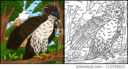 Philippine Eagle Coloring Page Illustration Philippine Eagle Coloring Page Illustration 115244813
