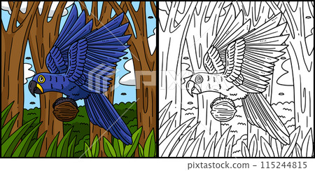 Hyacinth Macaw Bird Coloring Page Illustration Hyacinth Macaw Bird Coloring Page Illustration 115244815