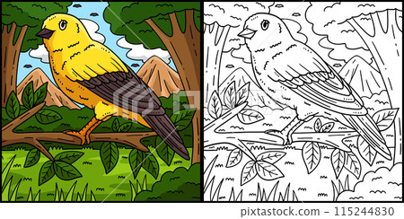 Canary Bird Coloring Page Colored Illustration 115244830