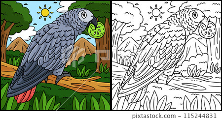 African Grey Parrot Bird Coloring Illustration African Grey Parrot Bird Coloring Illustration 115244831