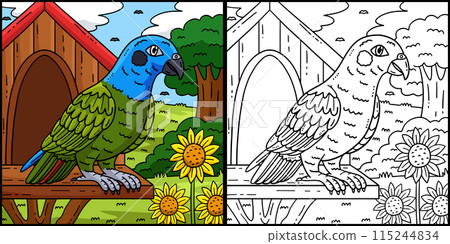Pionus Parrot Bird Coloring Page Illustration 115244834