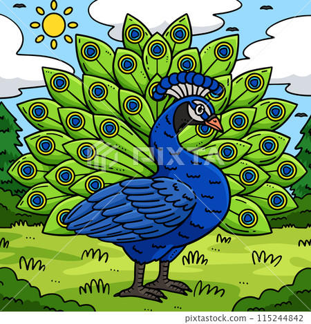Peacock Bird Colored Cartoon Illustration Peacock Bird Colored Cartoon Illustration 115244842