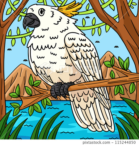 Cockatoo Bird Colored Cartoon Illustration 115244850