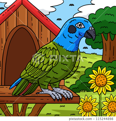 Pionus Parrot Bird Colored Cartoon Illustration 115244898