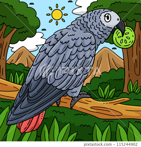 African Grey Parrot Bird Colored Cartoon  115244902
