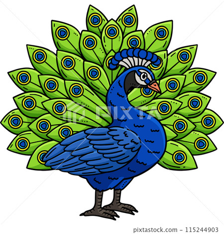 Peacock Bird Cartoon Colored Clipart Illustration 115244903