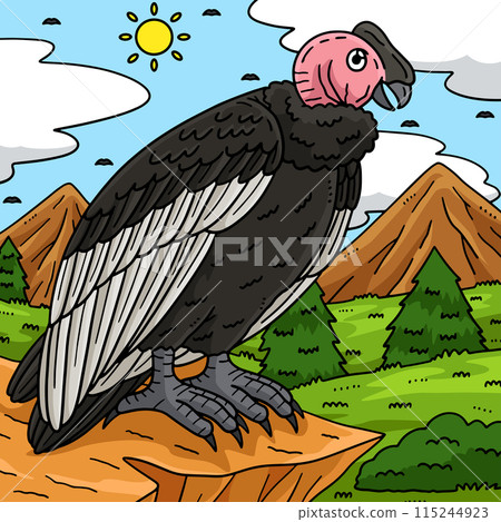 Andean Condor Bird Colored Cartoon Illustration 115244923