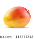 Vector image of mango fruit on a white background. 115245238