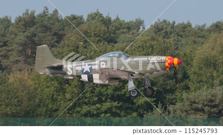 A US military P-51D Mustang fighter plane landing 115245793