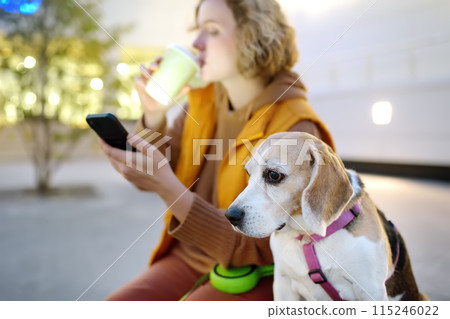 Hipster woman drinks coffee while walking with old Beagle dog along city street. Girl, dog owner, searches for pet products on the Internet using smartphone applications. Vet emergency care for pets Hipster woman drinks coffee while walking with old Beagle dog along city street. Girl, dog owner, searches for pet products on the Internet using smartphone applications. Vet emergency care for pets 115246022
