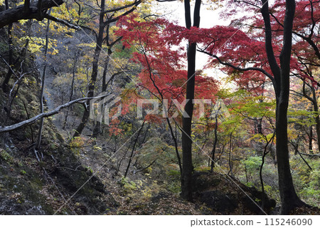岩比須山，登山，群馬縣 115246090