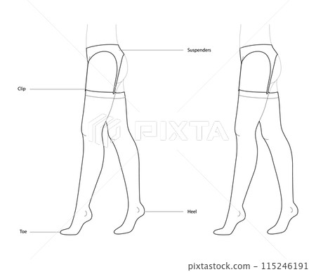 Stockings Suspenders Gatherbelt with diagram text names. Fashion accessory clothing technical illustration stocking. Stockings Suspenders Gatherbelt with diagram text names. Fashion accessory clothing technical illustration stocking. 115246191