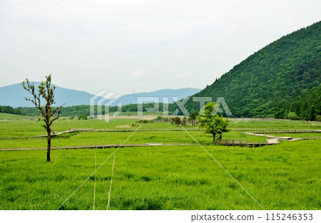 Tagayama Tadahara Mire 115246353