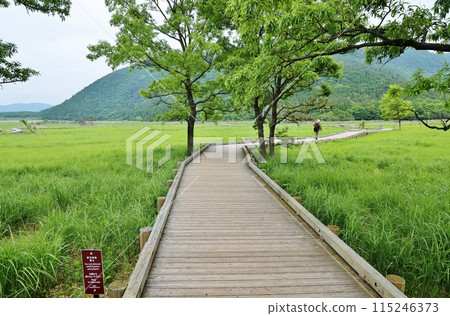 Trekking in the Tadewara Marsh Trekking in the Tadewara Marsh 115246373