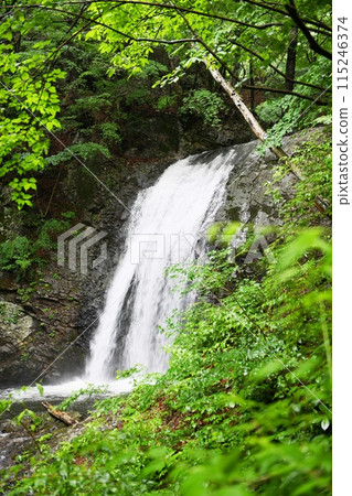 [Nikko City, Nikko National Park, Nikshio Momiji Line "Taikodoroshi Falls"] 115246374