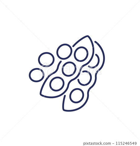 soybeans icon on white, soy beans line vector soybeans icon on white, soy beans line vector 115246549