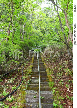 [那須鹽原市、日光國立公園、奧鹽原新湯溫泉「溫泉神社」參道石階與鳥居] 115246688