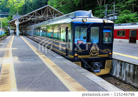 成人搭乘藍色列車～世界遺產「紀伊山地的聖地與參拜道」～吉野站～近鐵觀光特快【藍色交響樂】 115246796
