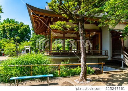 [Tokyo] Hatomori Hachiman Shrine is beautiful with its fresh greenery 115247361