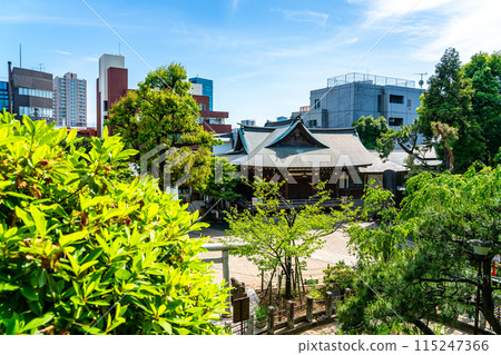 [Tokyo] Hatomori Hachiman Shrine is beautiful with its fresh greenery 115247366