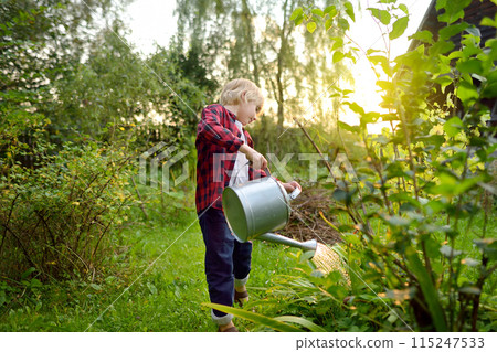 Cute preteen boy watering plants in the garden at summer sunny day. Child helps family with work in domestic garden. Summer outdoors activity and chores for kids during holidays. Cute preteen boy watering plants in the garden at summer sunny day. Child helps family with work in domestic garden. Summer outdoors activity and chores for kids during holidays. 115247533