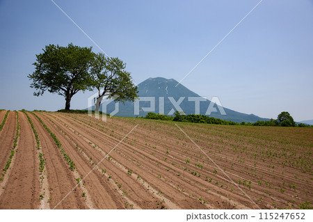 Mt. Yotei and the Earth 115247652