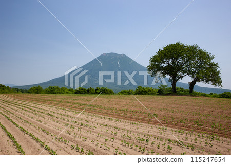 羊蹄山與地球 115247654