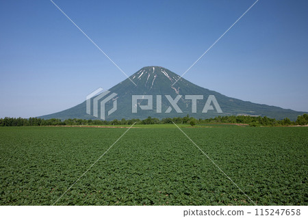 Mt. Yotei and the Earth Mt. Yotei and the Earth 115247658