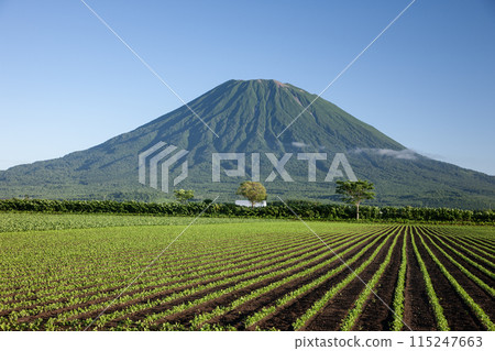 Mt. Yotei and the Earth Mt. Yotei and the Earth 115247663